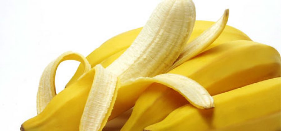 Можно ли йоркам есть бананы