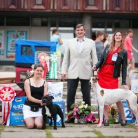 23 июня 2018 Всероссийская Выставка собак г. Рыбинск