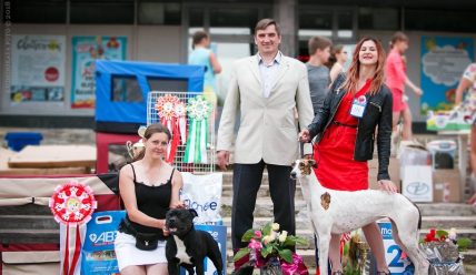 23 июня 2018 Всероссийская Выставка собак г. Рыбинск